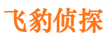 保定市婚姻出轨调查